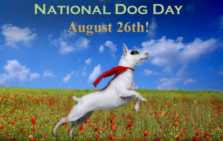 August 26th Is National Dog Day