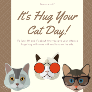 Hug Your Cat Day June 4th