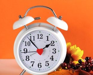 Daylight Savings Time Ends (November 5)