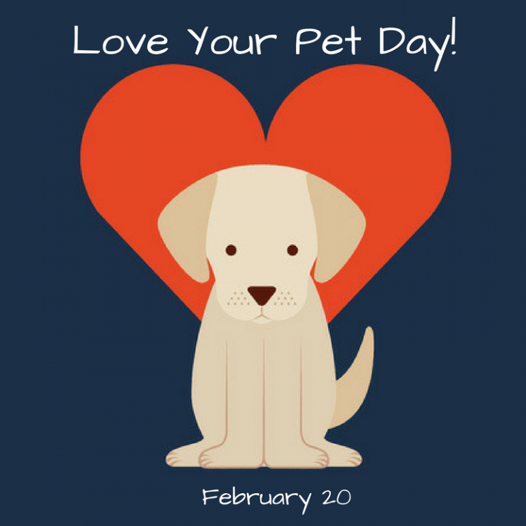 Love Your Pet Day! Feb. 20 myorthodontists.info