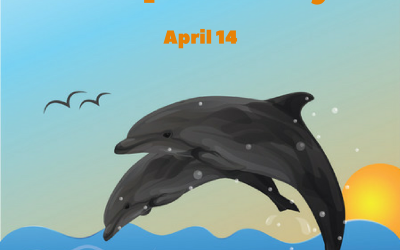 April 14 – Dolphin Day