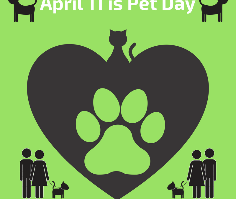 April 11 is Pet Day