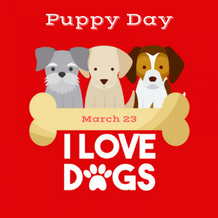March 23 is Puppy Day! myorthodontists.info