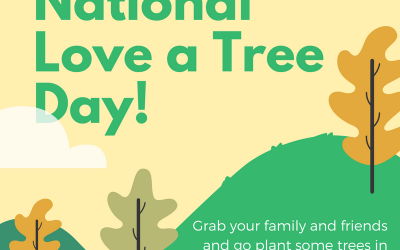 May 16 is National Love a Tree Day