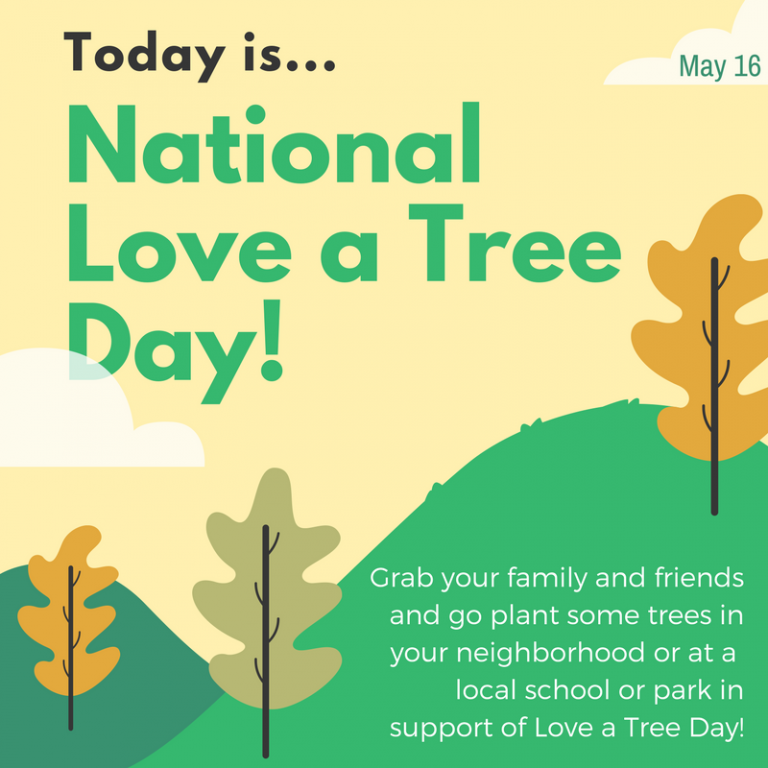 May 16 is National Love a Tree Day myorthodontists.info