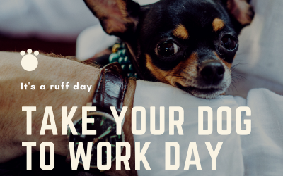 Today is the day to bring your dog to work! Ruff! (June 22)