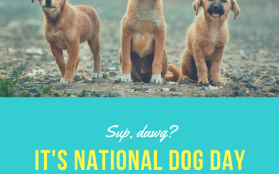 August 26 is National Dog Day!
