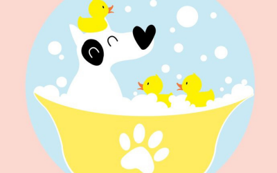 Bubble Bath Day – January 8