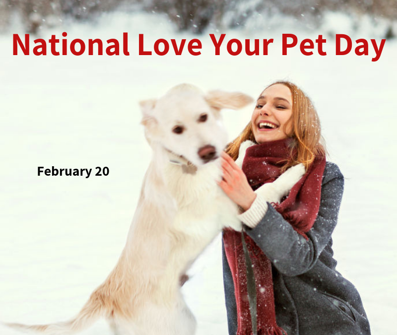 February 20 is National Love Your Pet Day