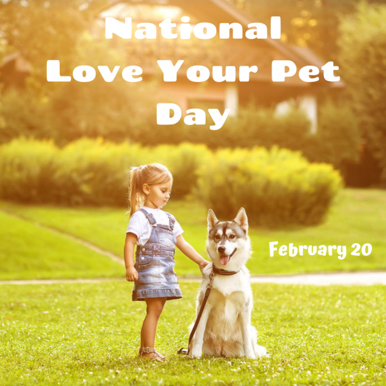 National Love Your Pet Day - myorthodontists.info