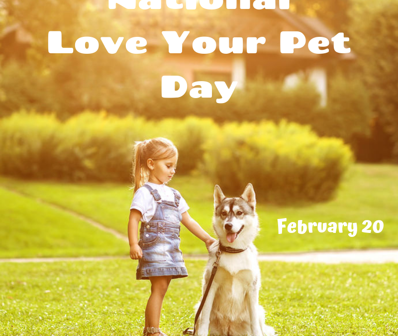 National Love Your Pet Day is February 20