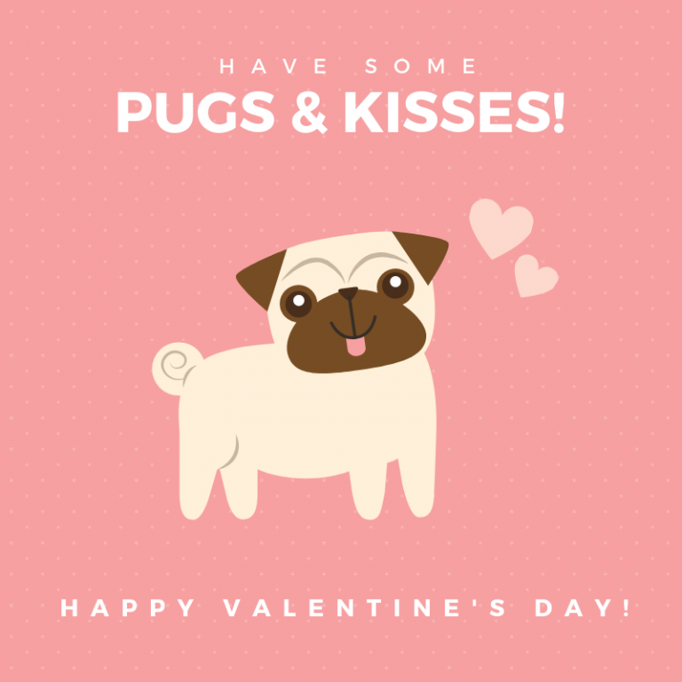 pugs and kisses teddy