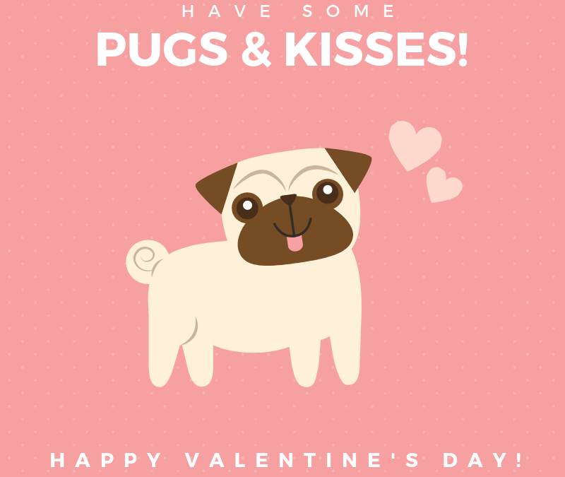 Pugs & Kisses! Happy Valentine’s Day!
