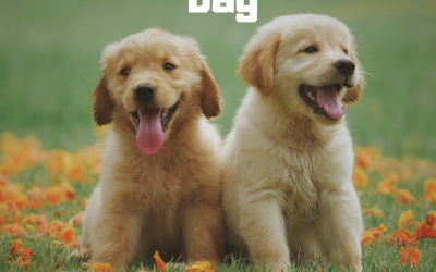 National Puppy Day is March 23!