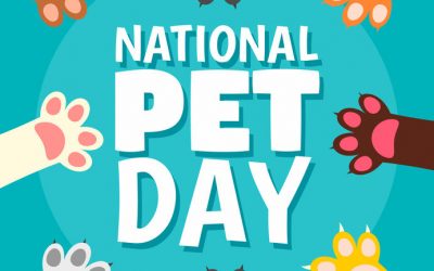 Paws Up for National Pet Day – April 11