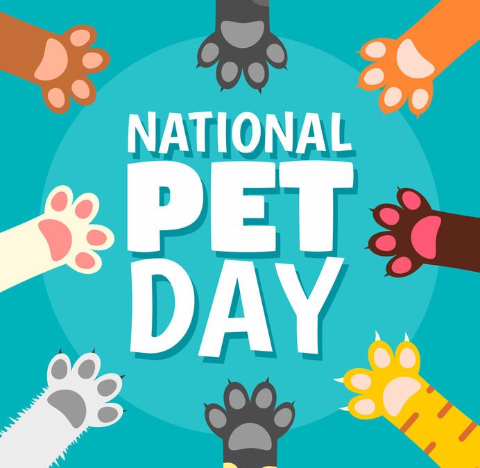 Paws Up for National Pet Day – April 11