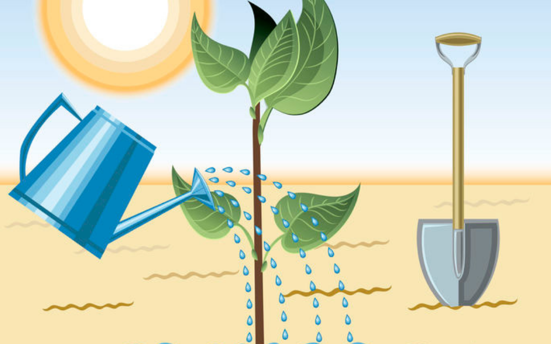 Plant a Tree on April 26!