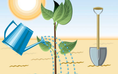 Plant a Tree on April 26!