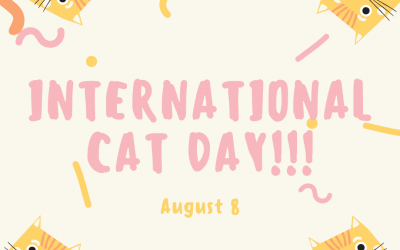 August 8 is International Cat Day!