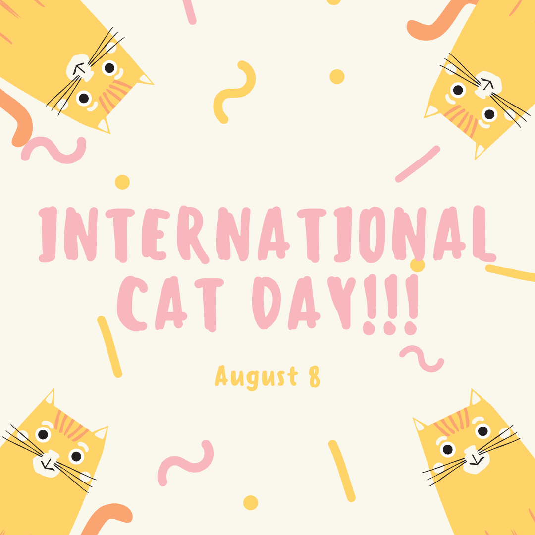 Happy #InternationalCatDay 😻 Day 1 for August