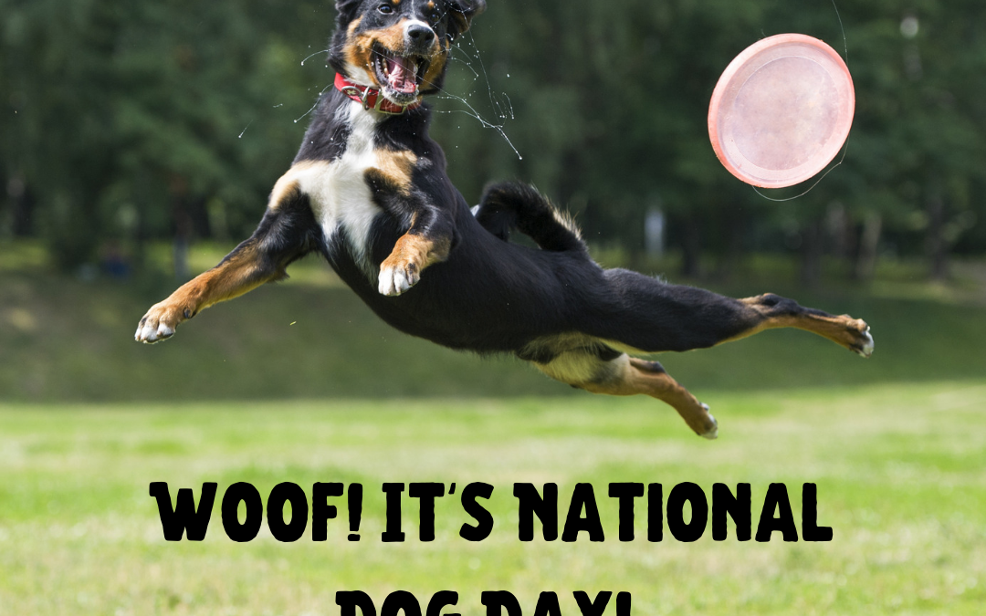Woof! It’s National Dog Day!