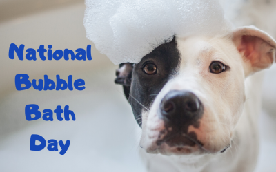 Jan. 8 is National Bubble Bath Day!