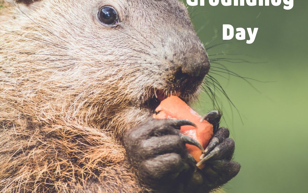 Groundhog Day is Feb. 2