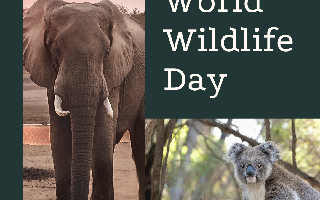 World Wildlife Day is March 3!
