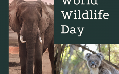 World Wildlife Day is March 3!