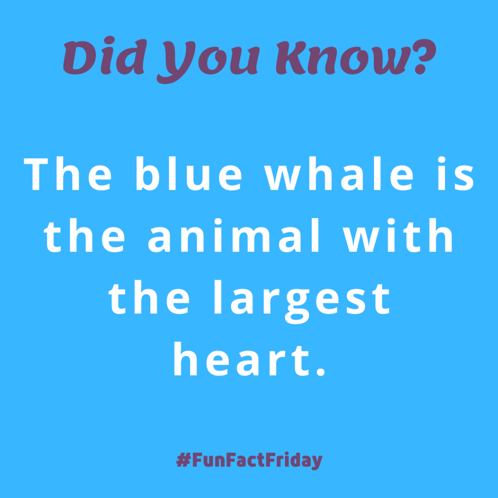 Did You Know Fun Fact Friday Orthodontic Blog Myorthodontists info