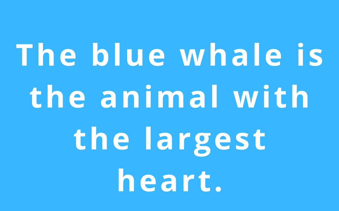 Did You Know? (Fun Fact Friday -1)