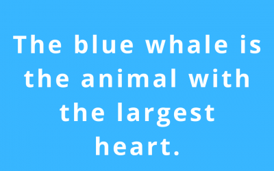 Did You Know? (Fun Fact Friday -1)