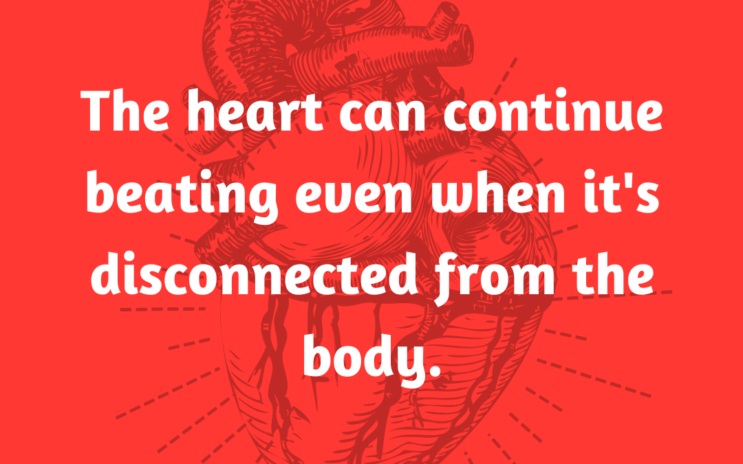 Did You Know? (Fun Fact Friday – 2)