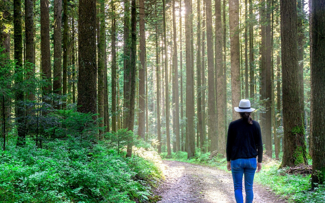 Things You Can Do While Taking a Break from Work