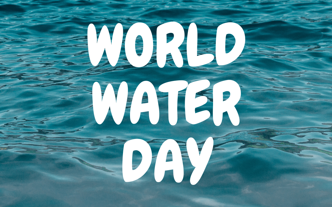 March 22 is World Water Day!