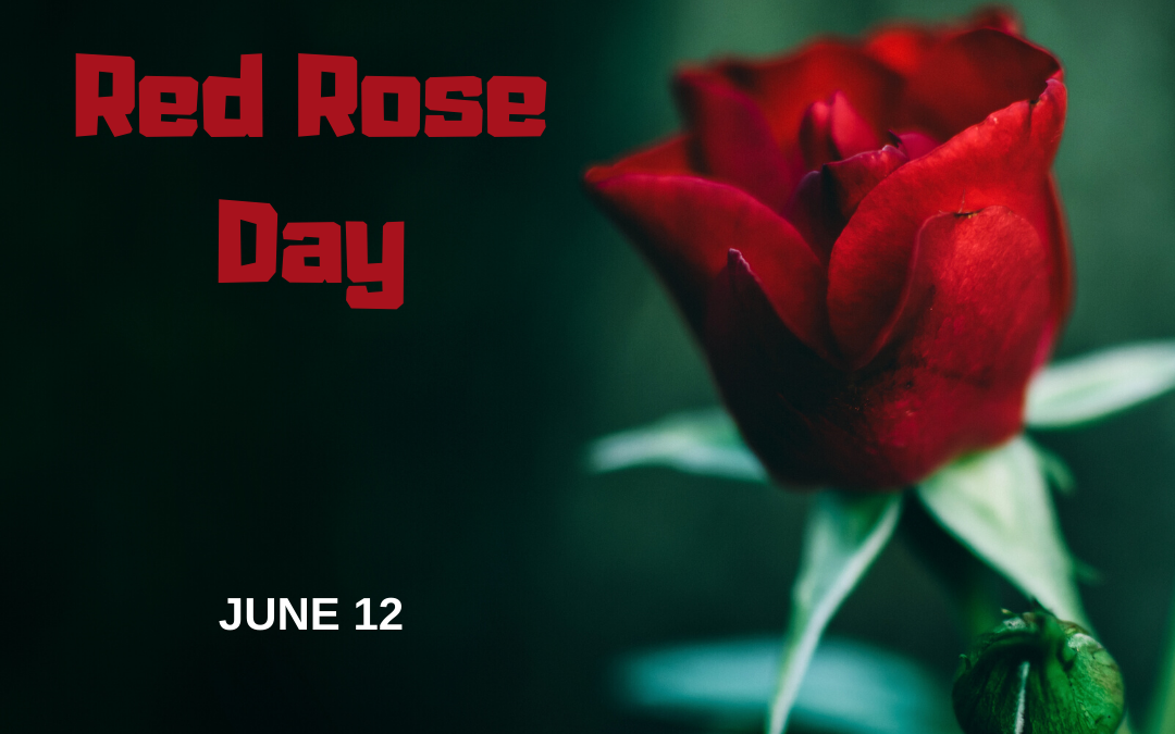 National Red Rose Day (June 12)