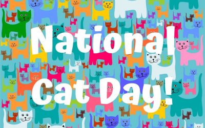 Meow! It’s National Cat Day! (Oct. 29)