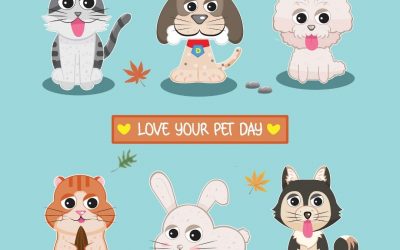 Show Your Pets Some Love on Feb. 20!