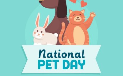 April 11 is National Pet Day 2021!