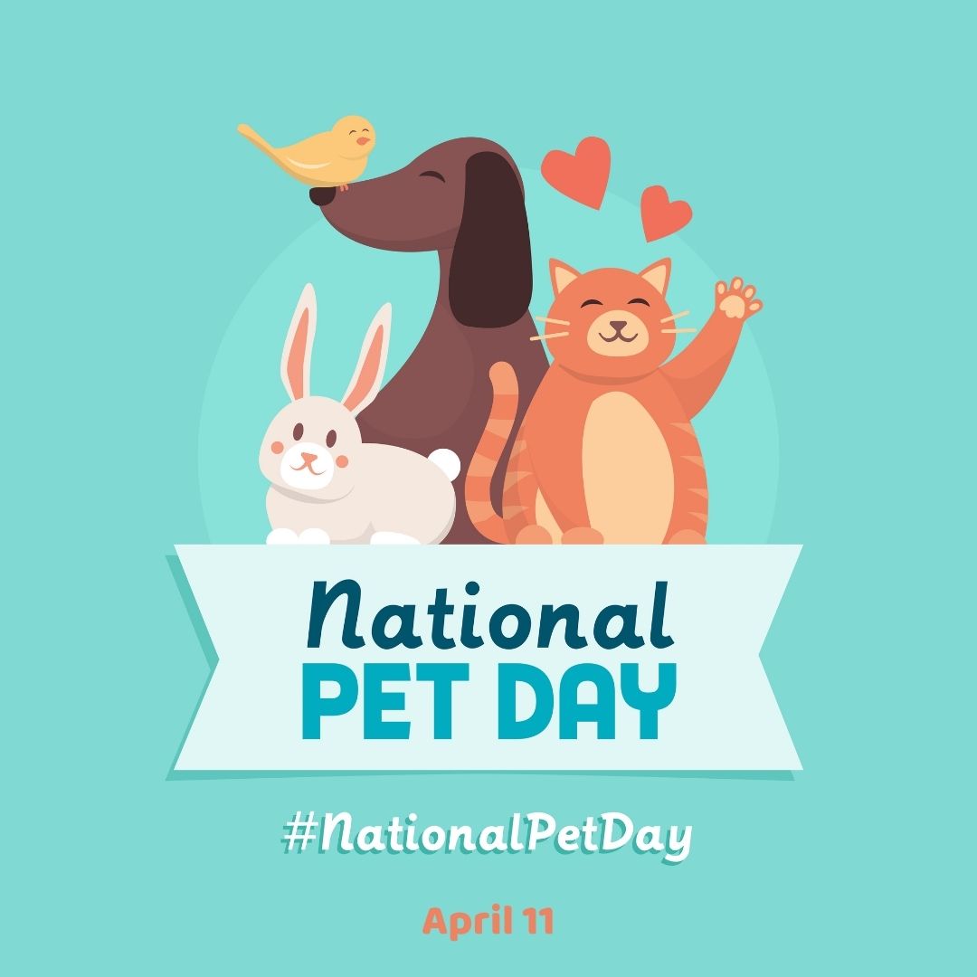 April 11 is National Pet Day 2021! myorthodontists.info