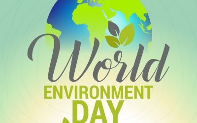 World Environment Day 2021!