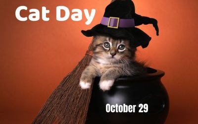 National Cat Day 2021! (Oct. 29)