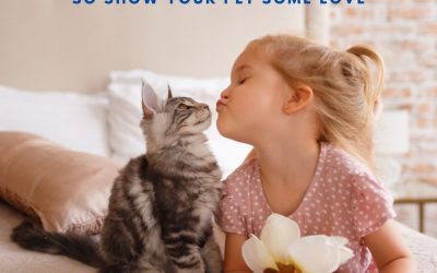 Show Your Pets some Extra Love Today! (Feb. 20)