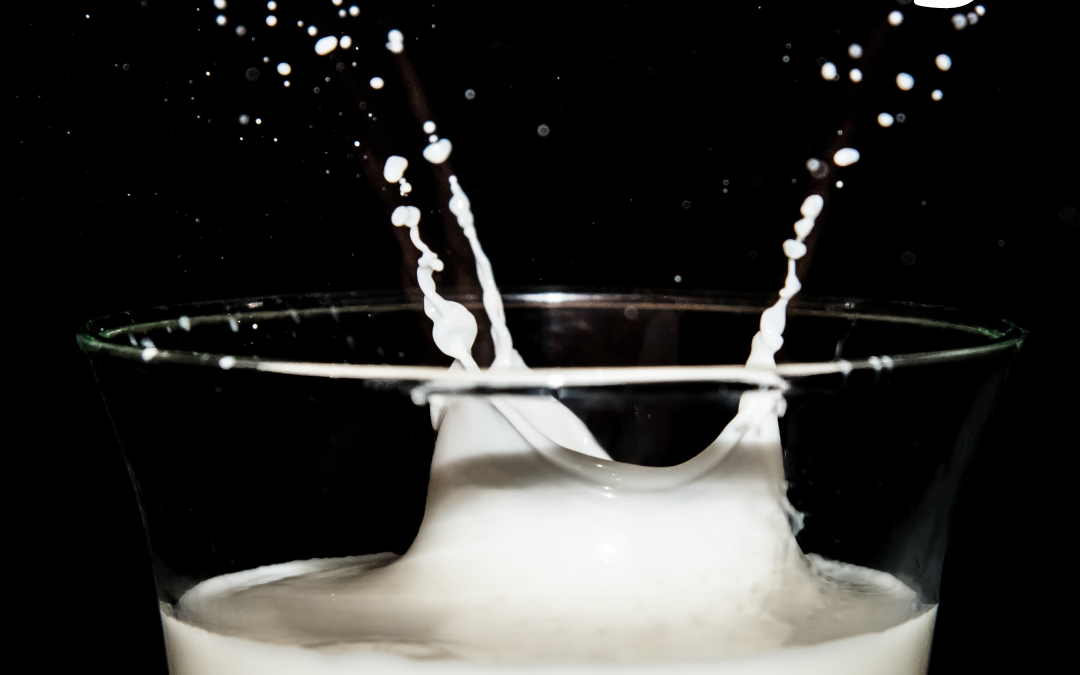 World Milk Day 2022! (June 1)