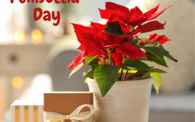 National Poinsettia Day 2022! (Dec. 12)