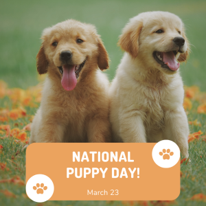 National Puppy Day 2023! (March 23)