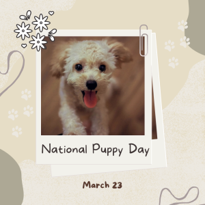 National Puppy Day 2024 (March 23)