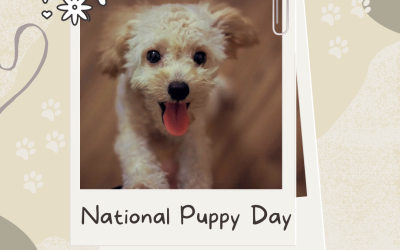 National Puppy Day 2024 (March 23)