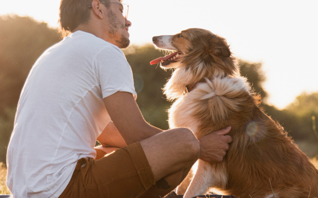 National Pet Day 2024! (April 11)