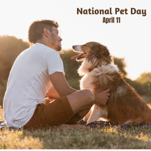 National Pet Day 2024! (April 11)